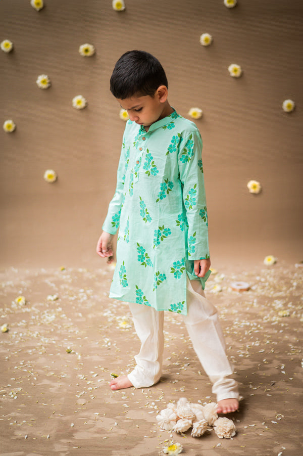 Lane of Happiness (Blue)- Ethnic Wear boys